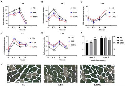 Low-protein diets supplemented with glycine improves pig growth performance and meat quality: An untargeted metabolomic analysis